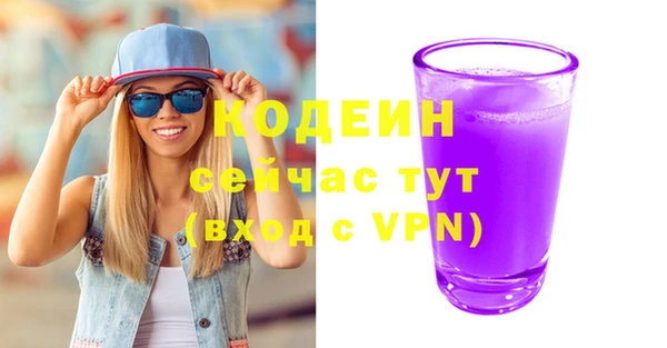 хмурый Бородино