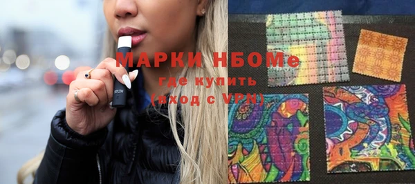 хмурый Бородино
