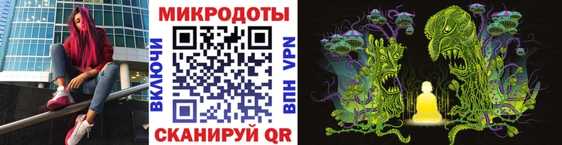 Псилоцибиновые грибы Cubensis хочу Заозёрск